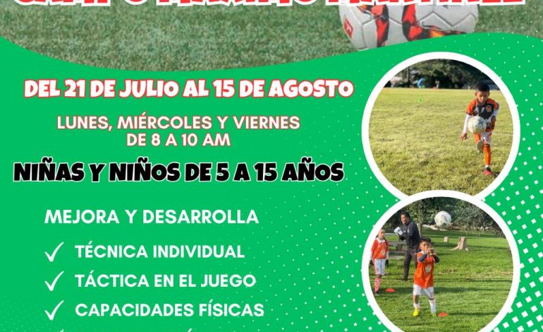 Guepardos FC: ¡Verano de Fútbol y Voleibol para Niños y Jóvenes!