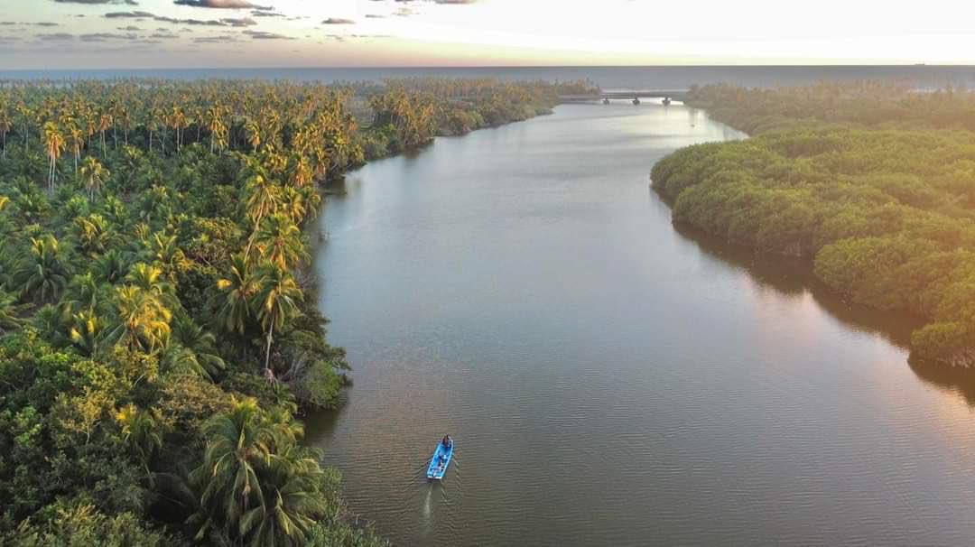 Manglares de Michoacán, más de 4 mil hectáreas de tesoro natural bajo protección: Secma