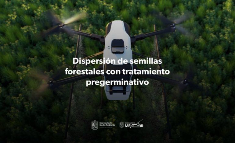 Arranca reforestación por aire; con drones se lanzarán más de 200 mil semillas: Bedolla