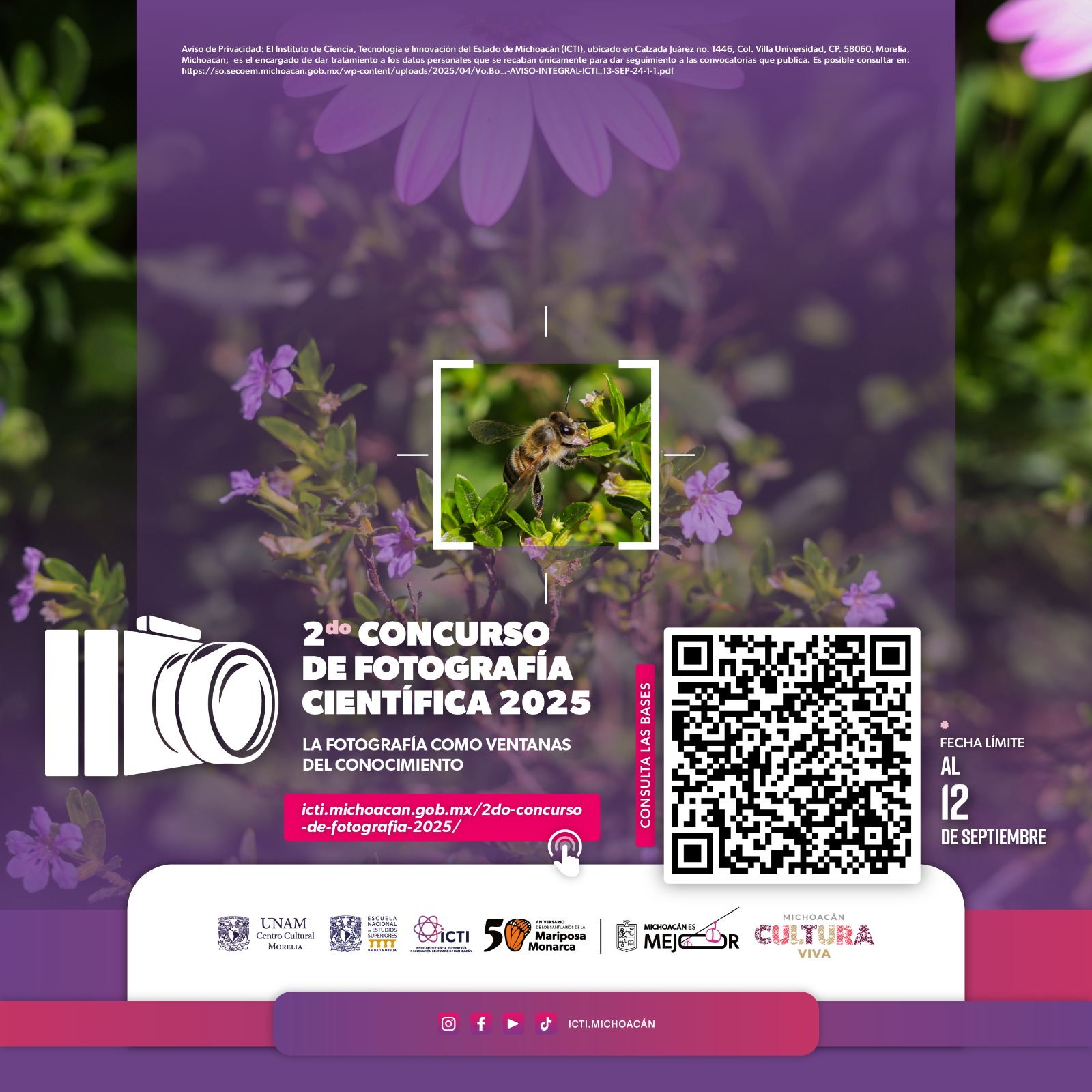Si amas la ciencia y la fotografía, este concurso de foto científica es para ti: ICTI.