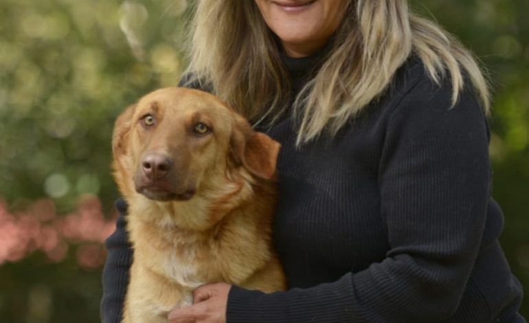 🐕🦺🐕 GHAPAD pide manos y corazones para PaseanDog: devolver la esperanza a 25 lomitos🐕🐕🦺
