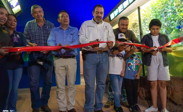 ¡Sumérgete en la experiencia de la nueva pecera 360° del Zoológico de Morelia!.