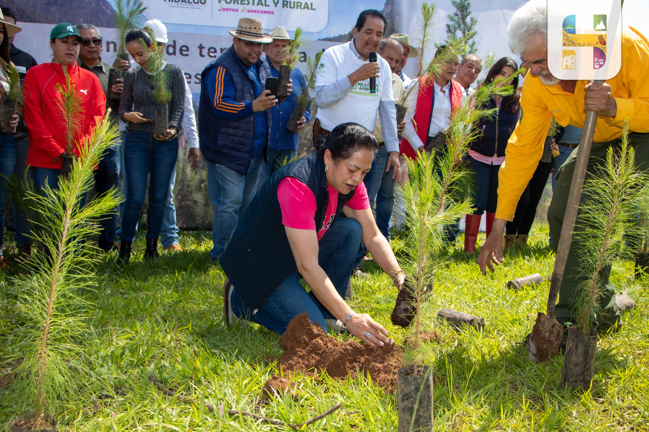 Jeovana Alcántar, arrancó la temporada de Reforestación 2025 en el municipio, con la plantación de 3 mil arbolitos en el Llano del Ejido (El Mirador).