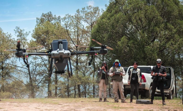 Gobierno de Michoacán combate deforestación con dron, siembra 24 mil semillas en Hidalgo.