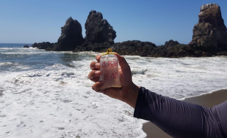 Playas de Michoacán son aptas para uso recreativo durante el verano.