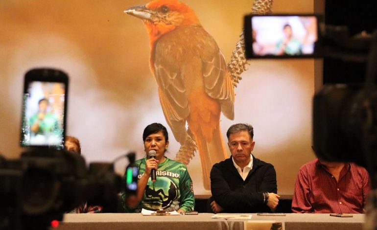 Únete al Festival de Aves de Michoacán y descubre la belleza de nuestras especies: Sectur.