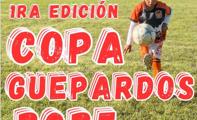 ¡Prepárate para la Copa Infantil de Fútbol Guepardos 2025 en Ciudad Hidalgo!