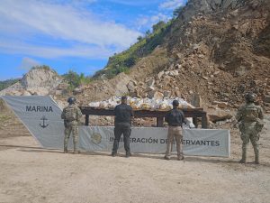 FGR EN COORDINACIÓN CON MARINA INCINERAN MÁS DE UNA TONELADA DE CLORHIDRATO DE COCAÍNA DECOMISADA EN GUERRERO
