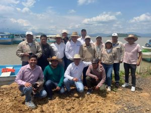 Gobierno de Michoacán siembra 15 mil crías de pescado blanco en el lago de Pátzcuaro