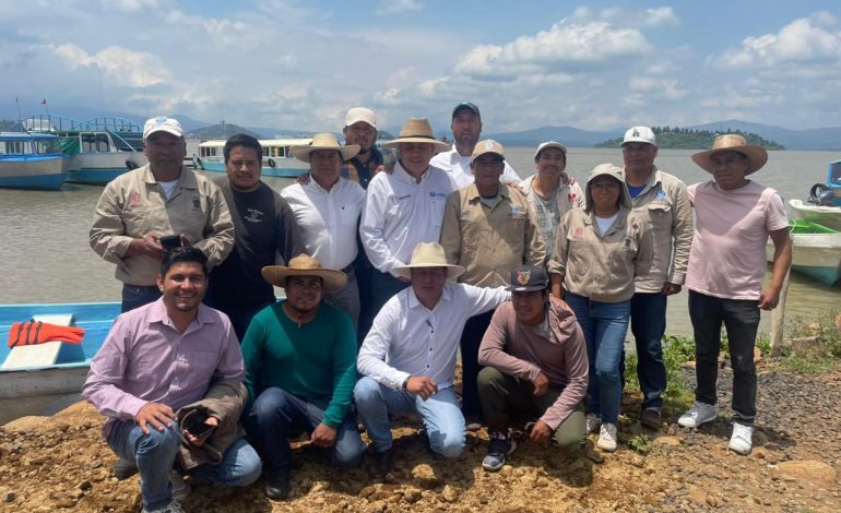 Gobierno de Michoacán siembra 15 mil crías de pescado blanco en el lago de Pátzcuaro