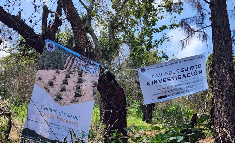 Cumplimenta FGE orden de cateo en predio relacionado con delitos contra el ambiente