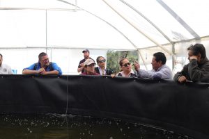 Pescado blanco de Pátzcuaro será protegido con Indicación Geográfica: ICTI