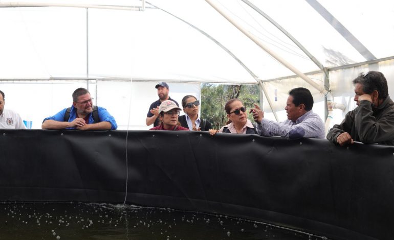 Pescado blanco de Pátzcuaro será protegido con Indicación Geográfica: ICTI