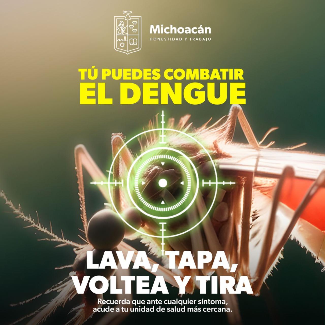 Sigue estas recomendaciones de la SSM para prevenir el dengue en tu hogar