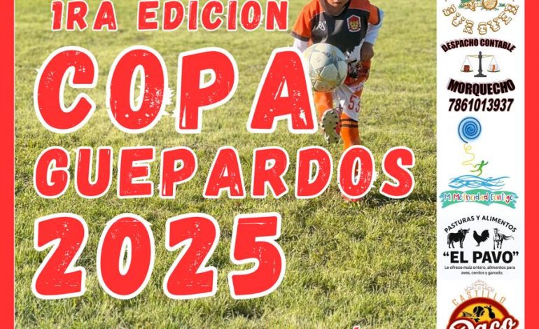 Todo listo para que se realice la 1er. Copa Guepardos de fútbol en diversas categorías