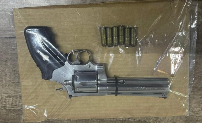 POR POSESIÓN DE DROGAS, ARMAS Y EXPLOSIVOS, FGR OBTIENE VINCULACIÓN A PROCESO CONTRA UNA PERSONA
