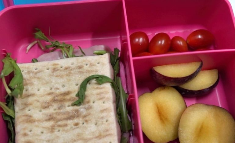 En este regreso a clases, manda a tus hijas e hijos lunch saludables: SSM