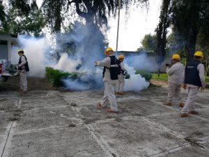 SSM se suma a jornada nacional contra el dengue