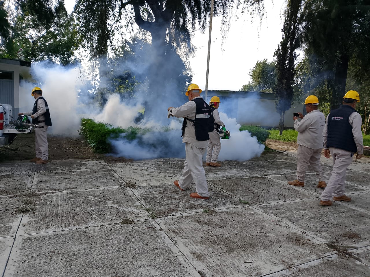 SSM se suma a jornada nacional contra el dengue