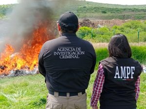 ​ INCINERA FGR MÁS DE 400 KILOS DE DROGAS Y MÁS DE CUATRO MIL PSICOTRÓPICOS EN MICHOACÁN