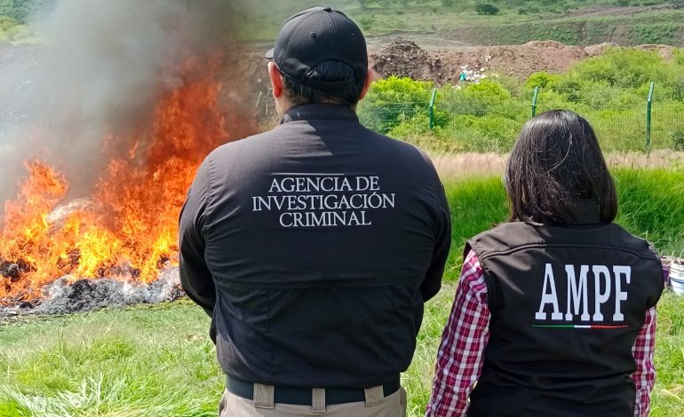  INCINERA FGR MÁS DE 400 KILOS DE DROGAS Y MÁS DE CUATRO MIL PSICOTRÓPICOS EN MICHOACÁN