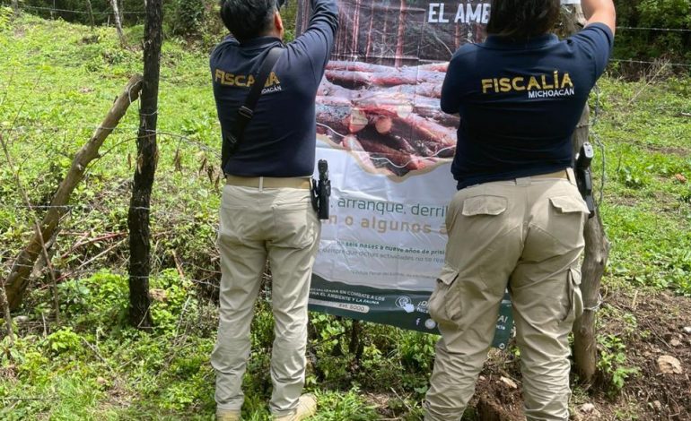 Cumplimenta FGE orden de cateo en predio relacionado con delitos contra el ambiente; se localizaron indicios de tala