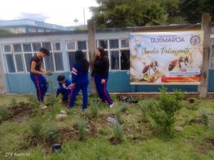 Alumnos de la Prepa Taximaroa Crean un Jardín Polinizador para Fomentar la Biodiversidad Local