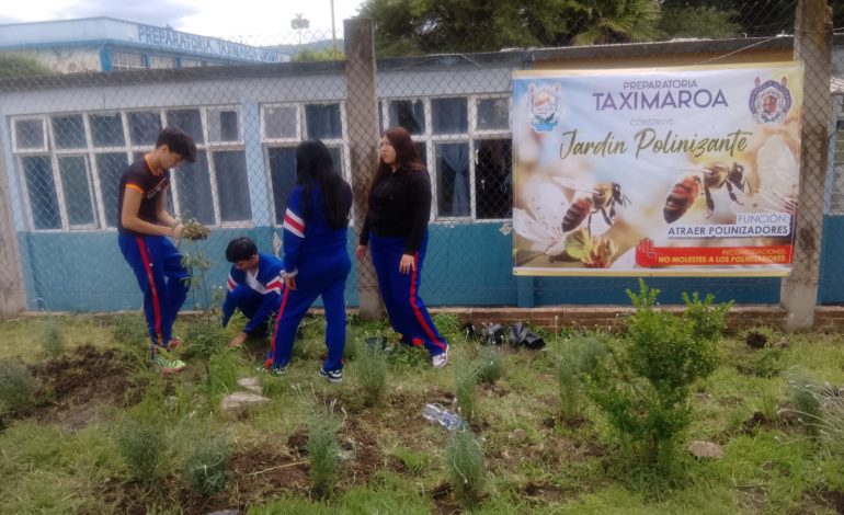 Alumnos de la Prepa Taximaroa Crean un Jardín Polinizador para Fomentar la Biodiversidad Local