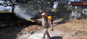 Sigue estas recomendaciones de la SSM para prevenir el dengue en tu hogar