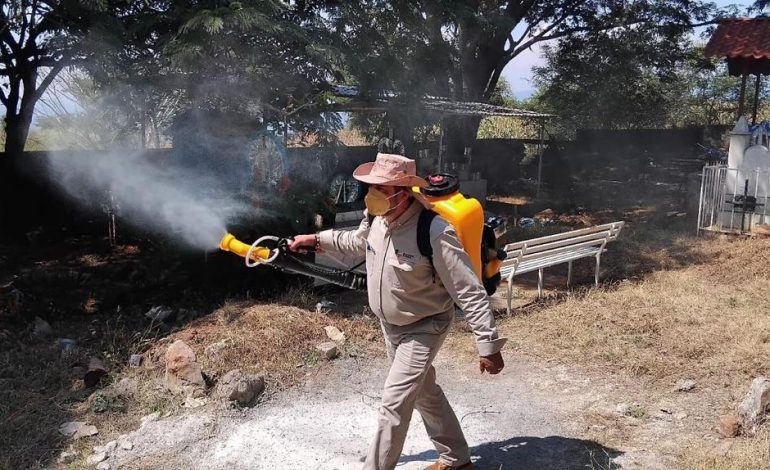 Sigue estas recomendaciones de la SSM para prevenir el dengue en tu hogar