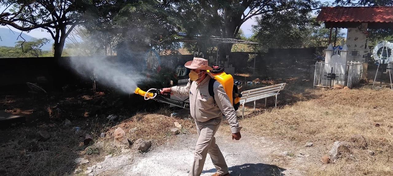 Sigue estas recomendaciones de la SSM para prevenir el dengue en tu hogar