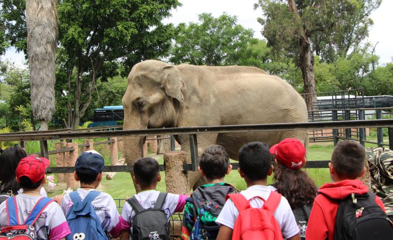 ¡Misión cumplida! Más de mil niñas, niños y jóvenes terminan curso de verano en Cecufid