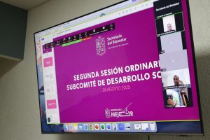 Programas del Bienestar, política social que combate con éxito la pobreza: Sedebi