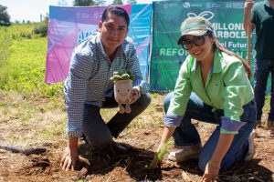 Jóvenes plantan más de 50 mil árboles en reforestación simultánea en 16 municipios.
<br>