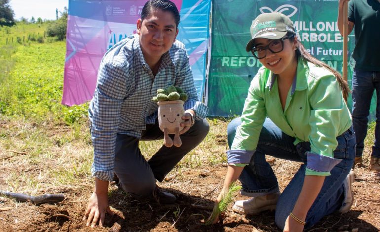 Jóvenes plantan más de 50 mil árboles en reforestación simultánea en 16 municipios.