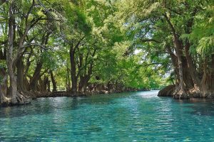 Escápate este verano al lago de Camécuaro, joya natural de Michoacán: Sectur.