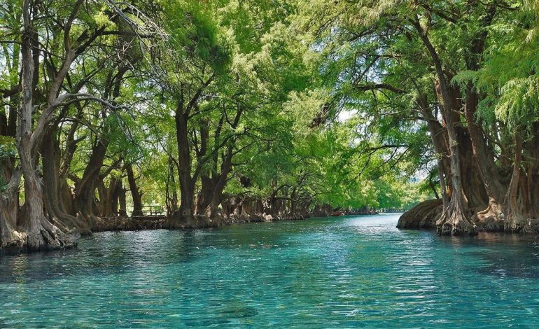 Escápate este verano al lago de Camécuaro, joya natural de Michoacán: Sectur.