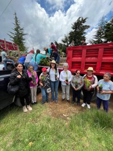 Impulsa Karla Carmona reforestación en Hidalgo con la entrega de 83 mil pinos.