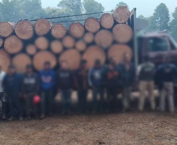 Detenidos en Senguio 10 hombres con rollos de madera ilegal: SSP.