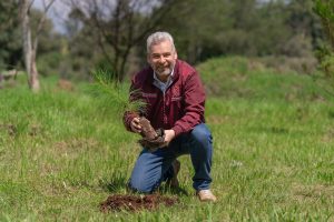 Con 8.2 millones de árboles plantados, reforestación registra 86% de avance: Bedolla.