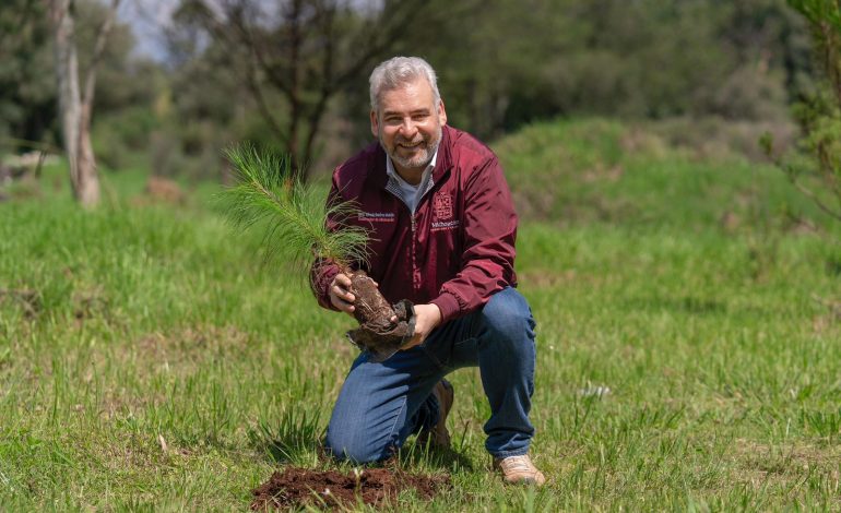 Con 8.2 millones de árboles plantados, reforestación registra 86% de avance: Bedolla.