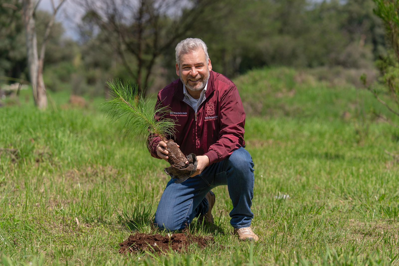 Con 8.2 millones de árboles plantados, reforestación registra 86% de avance: Bedolla.