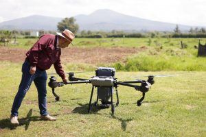 Reforestación con drones supera meta de 250 mil semillas sembradas: Bedolla.