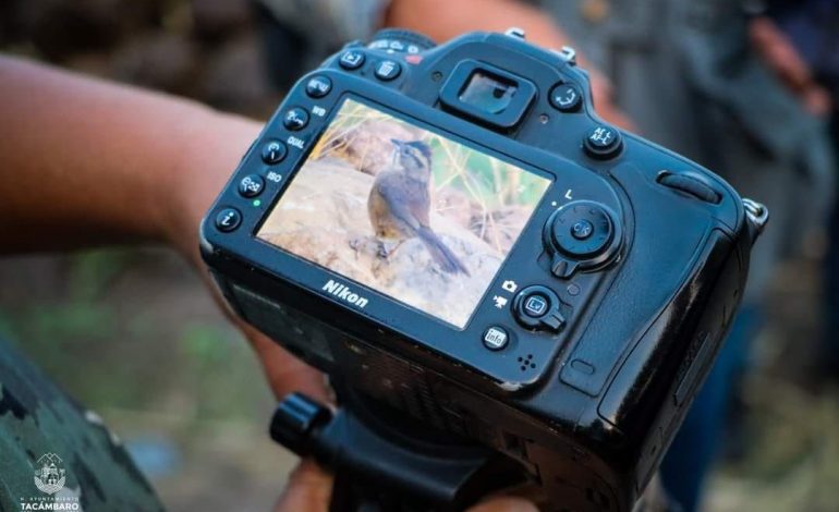 Festival de las Aves impulsa conciencia ambiental y turismo sostenible