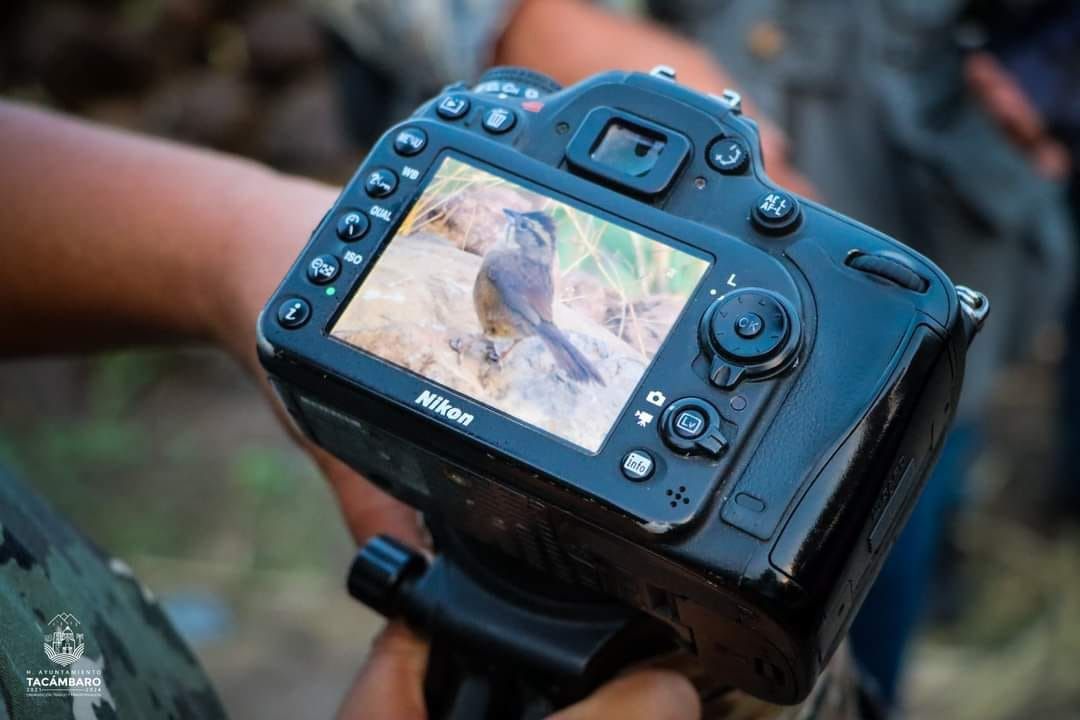 Festival de las Aves impulsa conciencia ambiental y turismo sostenible