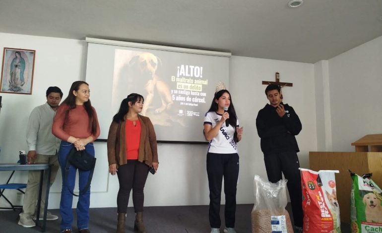 Recolectan croquetas a iniciativa de la Reyna y Mr. UVAQ