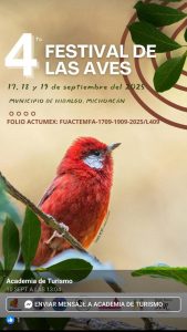 Se realizará el 4to. festival de las aves en el municipio de Hidalgo