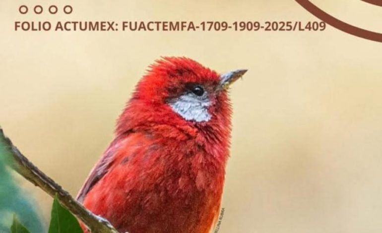 Se realizará el 4to. festival de las aves en el municipio de Hidalgo