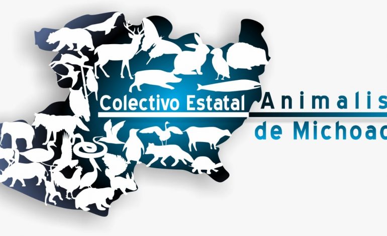 Medio centenar de organizaciones delinearán la agenda de protección animal en primer foro estatal