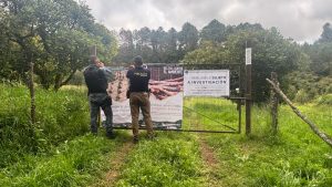 Cumplimenta FGE cateo en predio relacionado con tala ilegal y plantación de aguacate en Tacámbaro